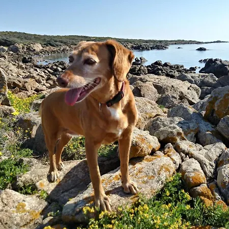 Iocchedda Porto Ottiolu