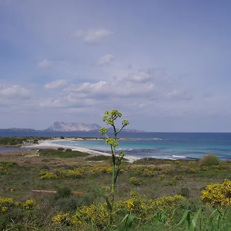 Апартаменты Iocchedda *